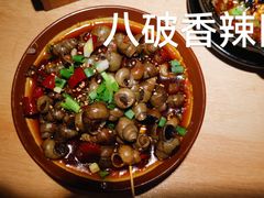 -胡马八破·川菜小馆(宽厚里店)