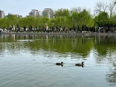 -中国农业博物馆