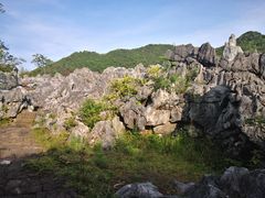 -千岛湖石林