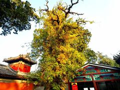 -承恩寺
