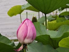 -云龙湖旅游景区