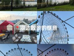 -飞来湖湿地公园