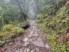 -阳台山自然风景区