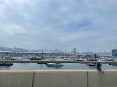 -海港城