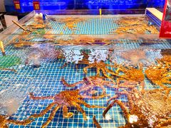 -驻海渔市(置信店)