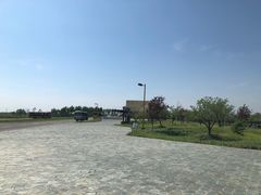 -黑瞎子岛探秘野熊园