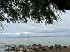 -捞渔河湿地公园
