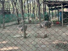 -草根堂农场