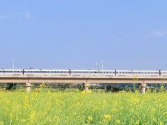 -光明小镇欢乐田园