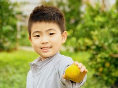 -前小桔亲子创意农场·草莓采摘·露营烧烤