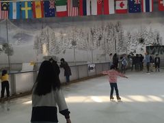 -世界之窗阿尔卑斯冰雪世界