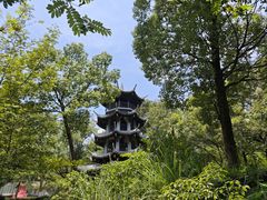 -温州永嘉书院