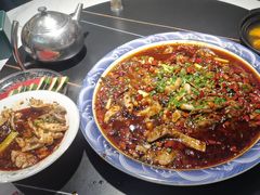 -新概念来凤鱼(璧山店)
