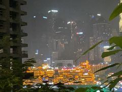 -丽晶轩中餐厅(重庆丽晶酒店)