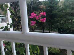 -三亚亚龙湾金棕榈度假酒店