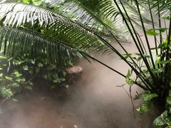 -呀诺达热带雨林