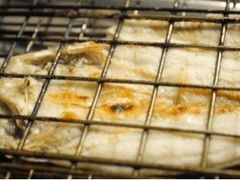 -鱼鼎香烤鱼火锅(华发商都店)