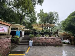 -龙井壹号·茶缘山景宴(龙井村店)