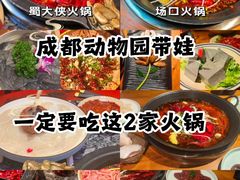 -成都动物园