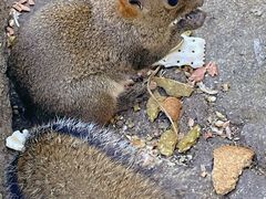 -黄山白云宾馆