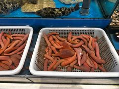 -海铺·渔家虾水饺(皇姑店)