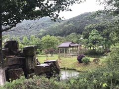 -龙寺生态园