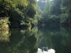 -石台牯牛降景区