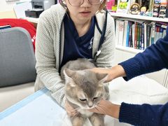 -美联众合动物医院·24h转诊中心