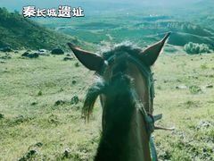 -草原天路(张北县)