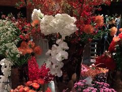 -浅深Cheersum(曹杨店)