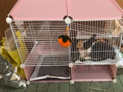 -大象厨房(重庆道店)