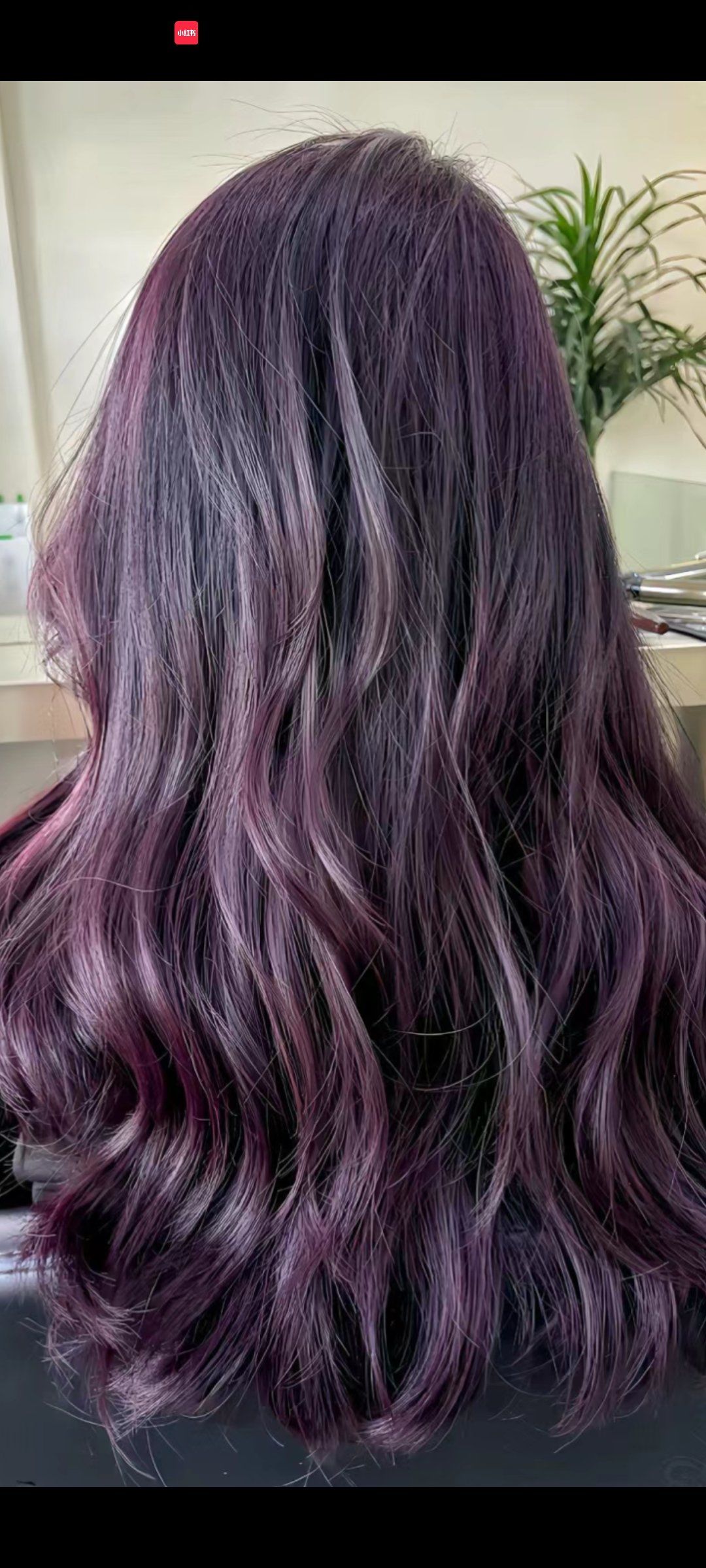 紫罗兰发色不仅高级优雅,而且能够显白不挑肤色,无论冷暖皮都能够找到