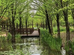 -柳鹭田园区