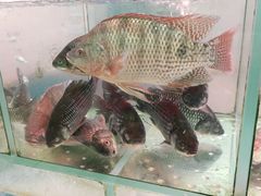 -百佳永辉超市(太阳广场店)