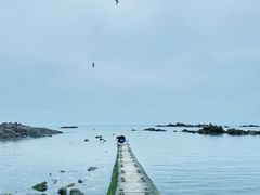 -青岛石老人海水浴场