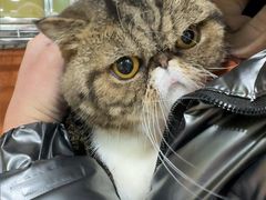 -酷狗靓猫宠物·洗护·美容·寄养(航北路店)