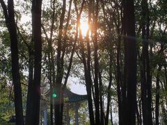 -广州市白云山风景名胜区