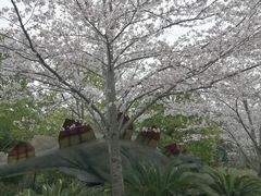 -自然谷恐龙园