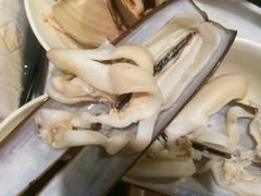 -鲜入围煮花胶鸡海鲜火锅