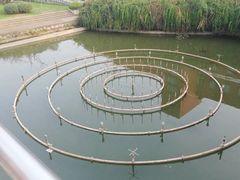 -南京特殊教育师范学院(燕子矶校区)