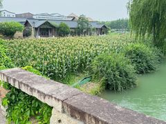 -乌村