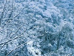 -秦岭风景区