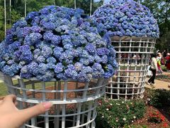 -深圳仙湖植物园