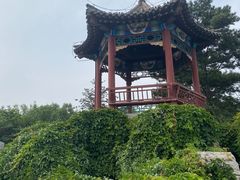 -大兴滨河森林公园