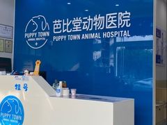 -芭比堂动物医院·CT·微创中心(新顺分院)