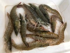 -渔民船说·北塘海鲜·天津菜·海肠捞饭(北塘古镇店)