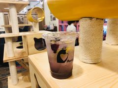 -喵匠猫主题咖啡(凯德和平广场店)