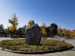 -野鸭湖国家湿地公园