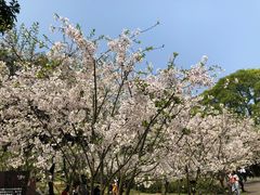 -南山植物园