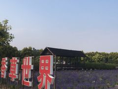 -广东花都香草世界旅游度假区